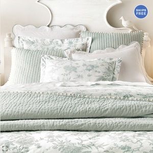 Ballard Designs Jardin Toile Twin Duvet in SPA Color